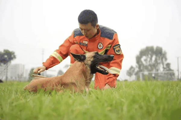 ▲消防员和搜救犬“青龙”在一起