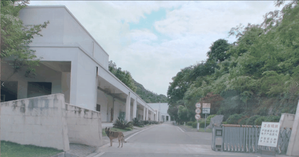 ▲付先生一行过第二道检查关卡后，在导游带领下由此门步行进入抵达“天眼”