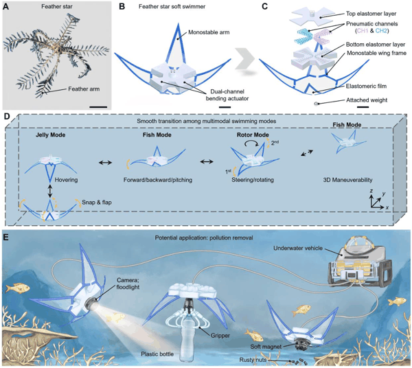 （来源：Science Advances）
