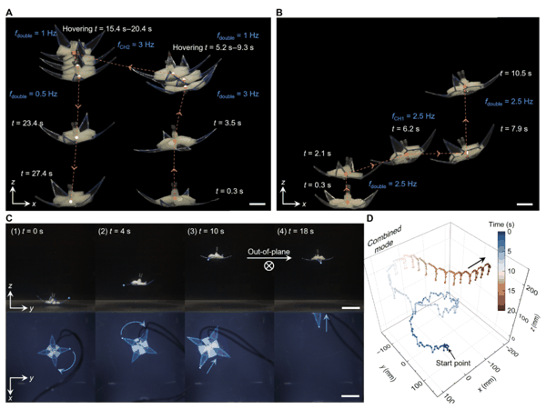 （来源：Science Advances）