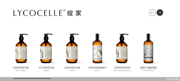 若羽臣官网截图