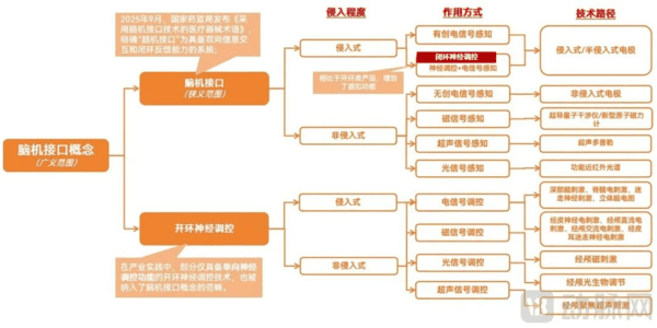 脑机接口丰富的技术路线，图片来源：动脉智库《2026脑机接口早期商业化探索报告》