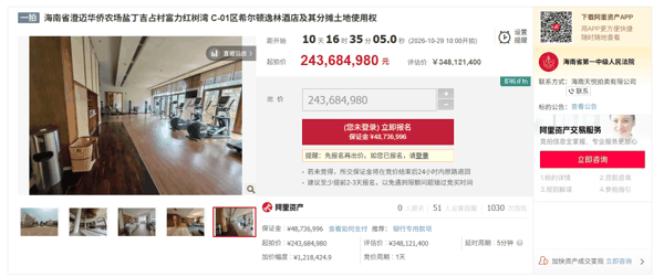 ▲阿里资产拍卖平台截图