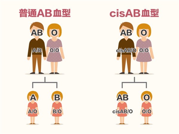 网图