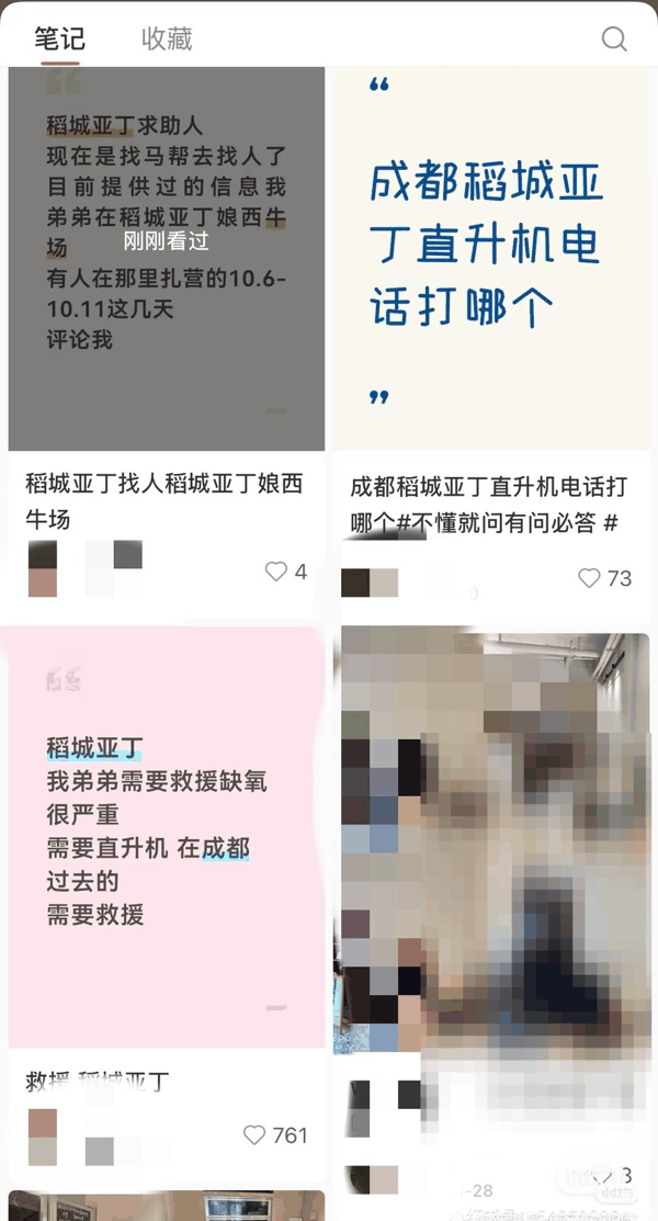 ▲男子姐姐此前在社交平台求助寻找直升飞机