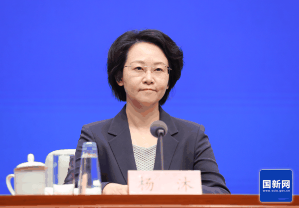 ▲商务部市场运行和消费促进司司长杨沐（图片来源：国新网）
