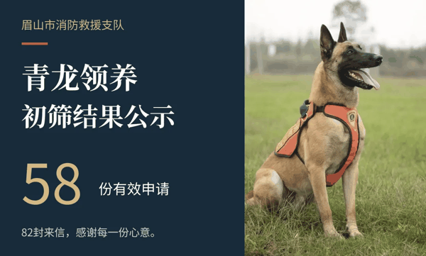 ▲82封来信，58份申请有效