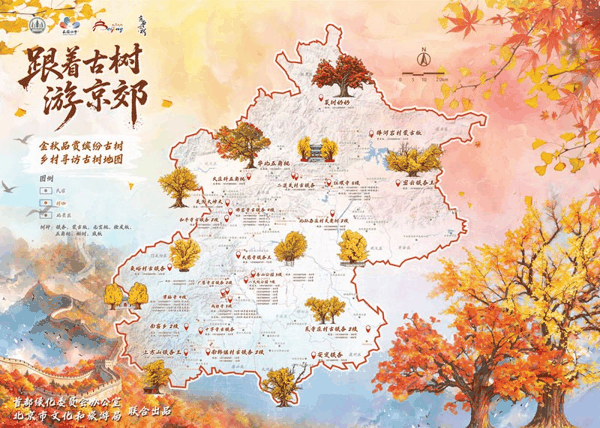 《金秋品赏缤纷古树乡村寻访地图》。首都绿化委员会办公室供图