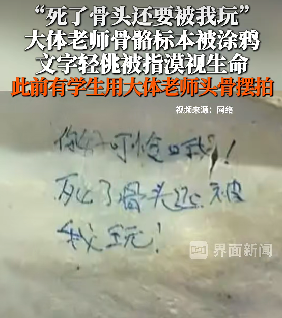 ▲近日，有高校解剖骨骼标本上被写下“死了骨头还要被我玩”等轻佻留言，引发热议。图/界面新闻