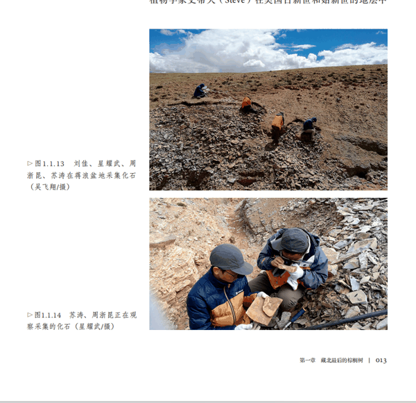 图6.png