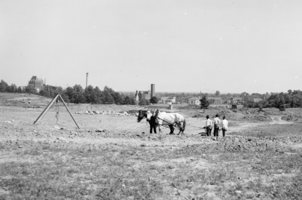 图1 马队平整植物园南部土地,1916年 Grading the land for the southe.png