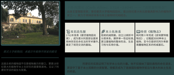 4 都灵(阿廖尼)——“接纳命名,拒绝框架”的改良派.png