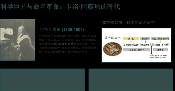 5 科学巨匠与命名革命:卡洛·阿廖尼的时代.png