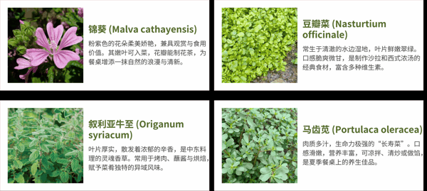 图3- 3 高价值物种图鉴.png