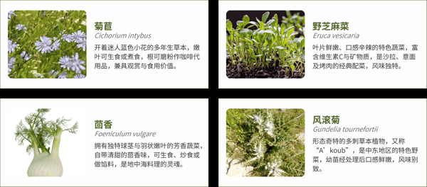 图3- 2 高价值物种图鉴.png