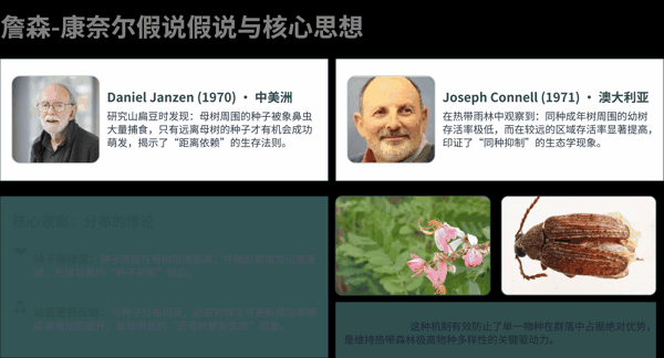 1 詹森-康奈尔假说假说与核心思想.png