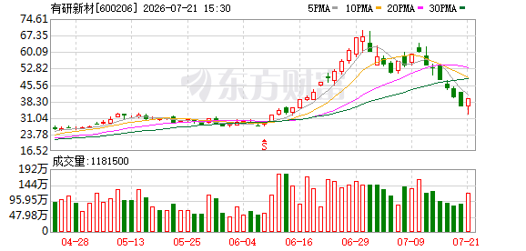 K图 600206_0