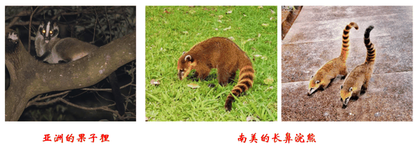 30cb1415-6eae-4573-9316-44b21babc1f9.png