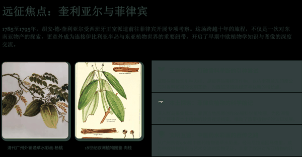 8 远征焦点:奎利亚尔与菲律宾.png