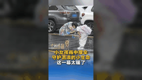 小女孩雨中撑伞守护流浪的小生命 这一幕太暖了!