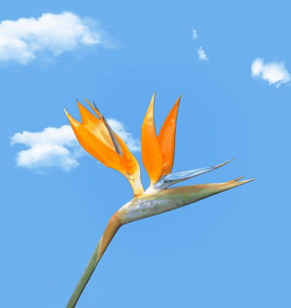 IMG_20261012_162000.jpg