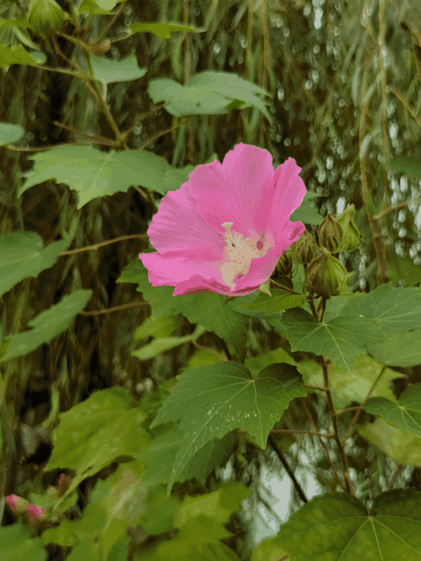 IMG_20230928_150533.jpg