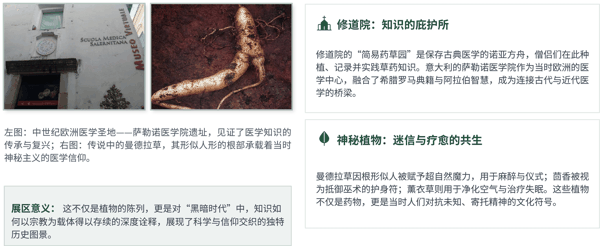 图 5 中世纪医学:修道院中的草药传承.jpg