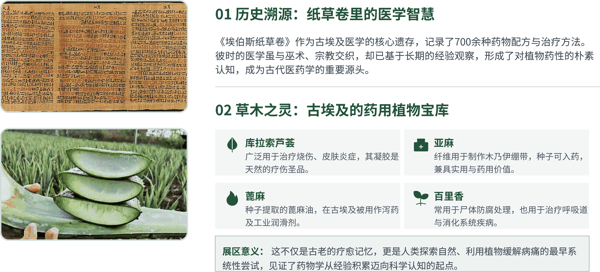 图 3 古埃及医学:纸草上的疗愈记忆.jpg