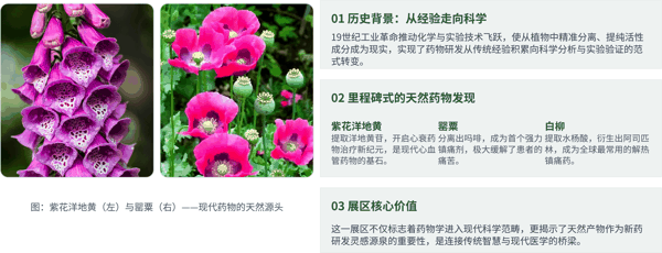 图 9 活性成分的分离:现代制药工业的开端.jpg