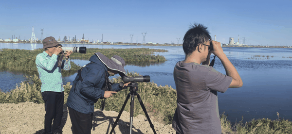克拉玛依古海湿地考察_20260907d 拍摄.jpg