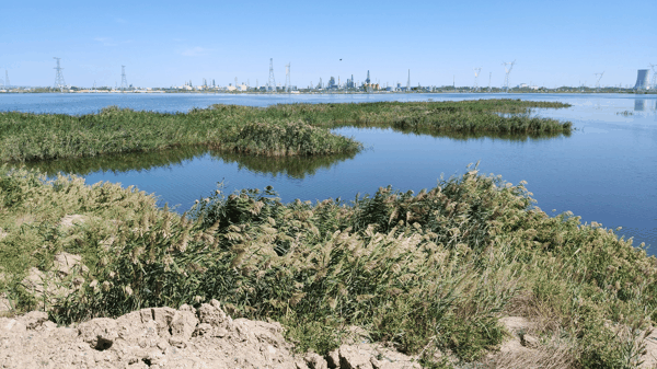 克拉玛依 研讨会 古海湿地施工图 工程队 马鸣摄_20260907 环境.jpg