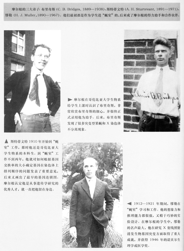摩尔根的三大弟子-2.jpg