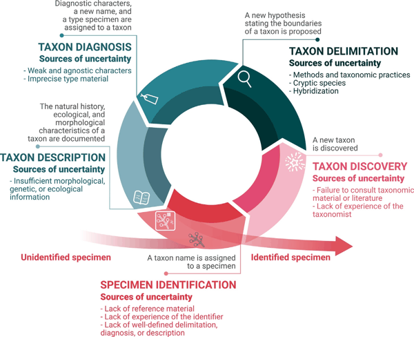 图1_第2页_Meyeretal.2026-Taxonomicuncertainty 分类学不确定性:原因.jpg