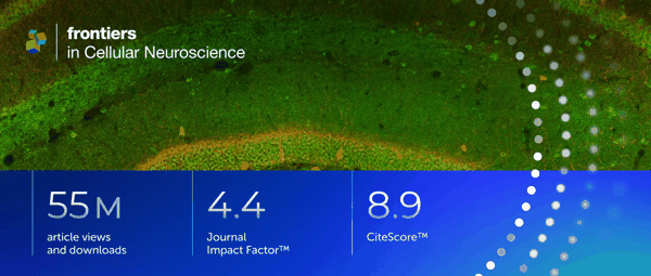 FNCEL_Impact-2026_Metrics_2_35x1.png