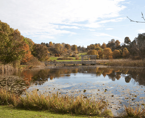 图1_橡树环绕的池塘(纽曼树木园 Newman Arboretum) lr_arboretum.jpg